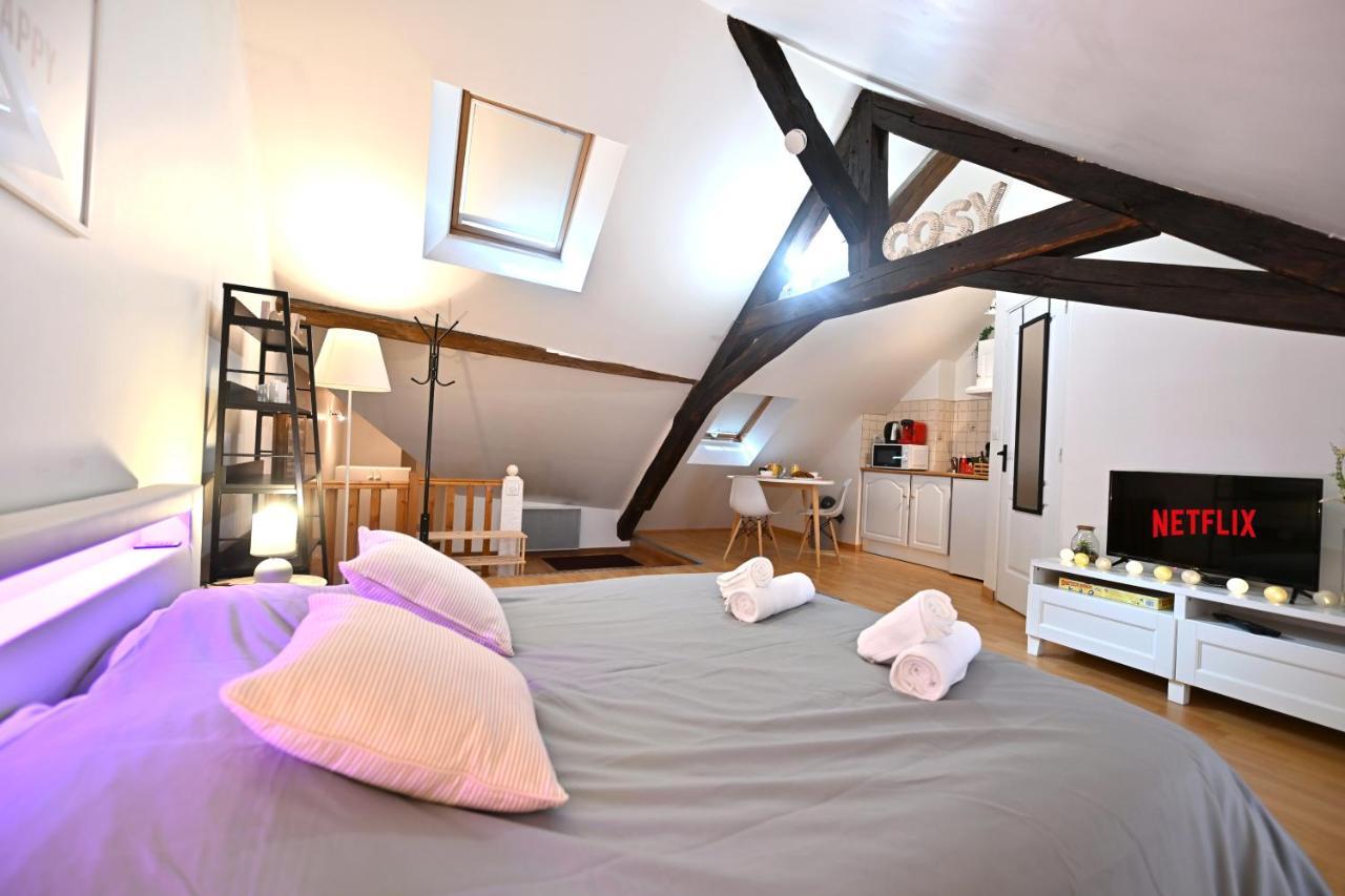 Ferienwohnung Le Cosy Du Tambour D'Argent Sens Exterior foto